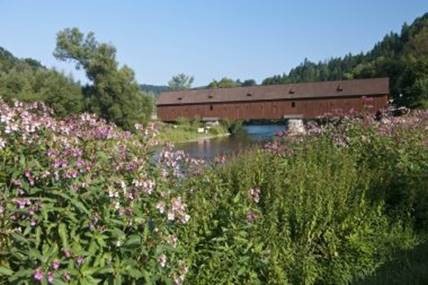 Radošov - krytý most